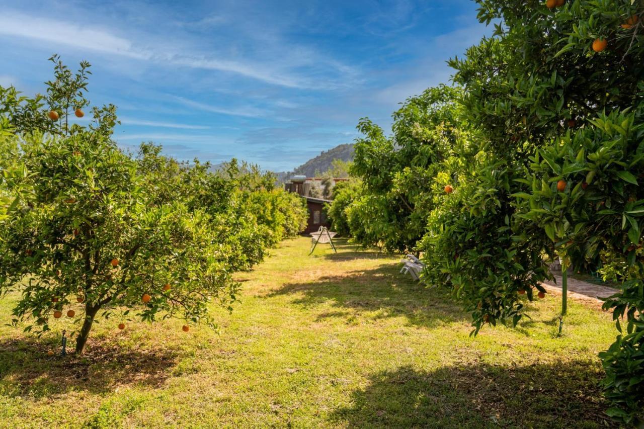 Ikiz Villas Çıralı Buitenkant foto