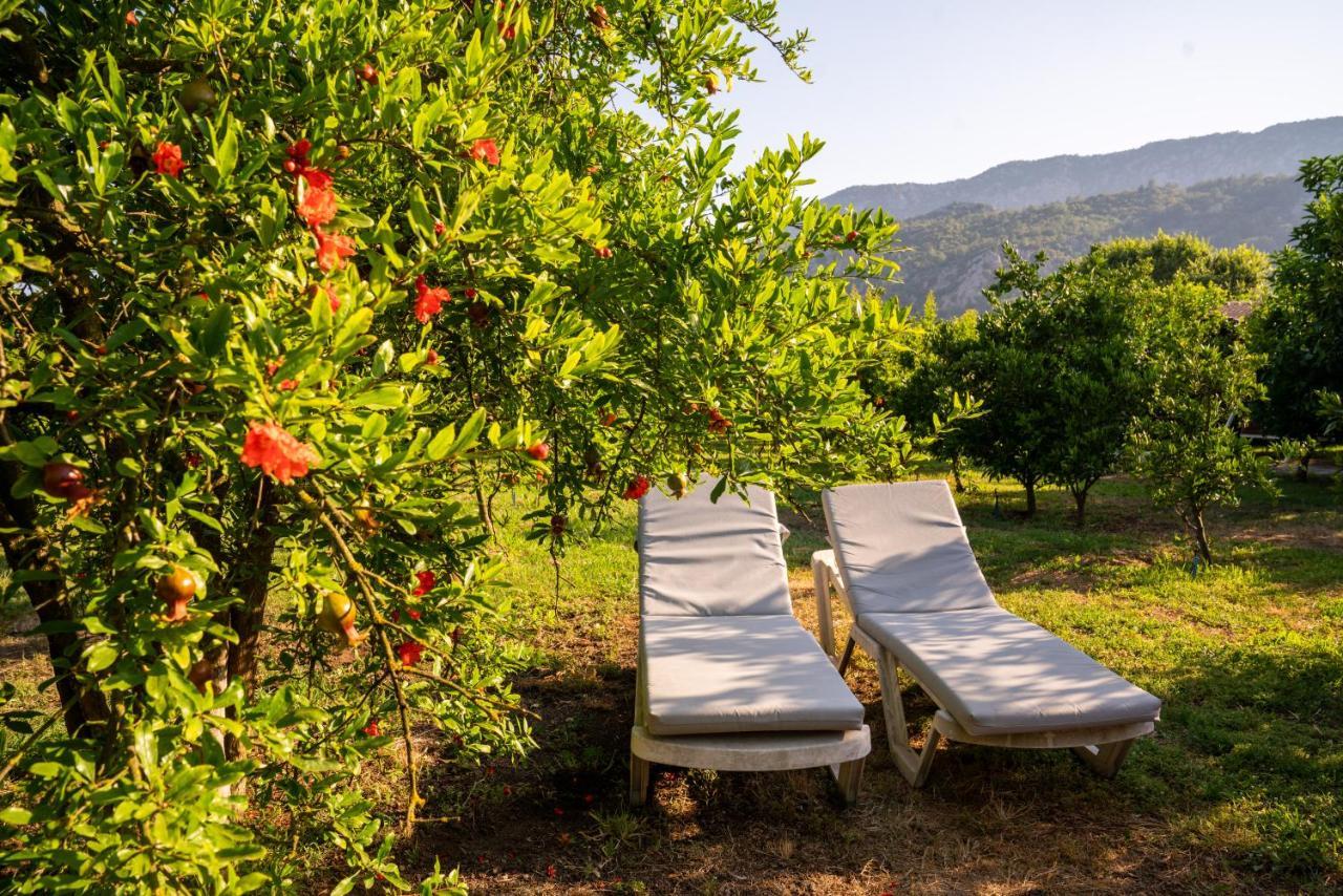 Ikiz Villas Çıralı Buitenkant foto