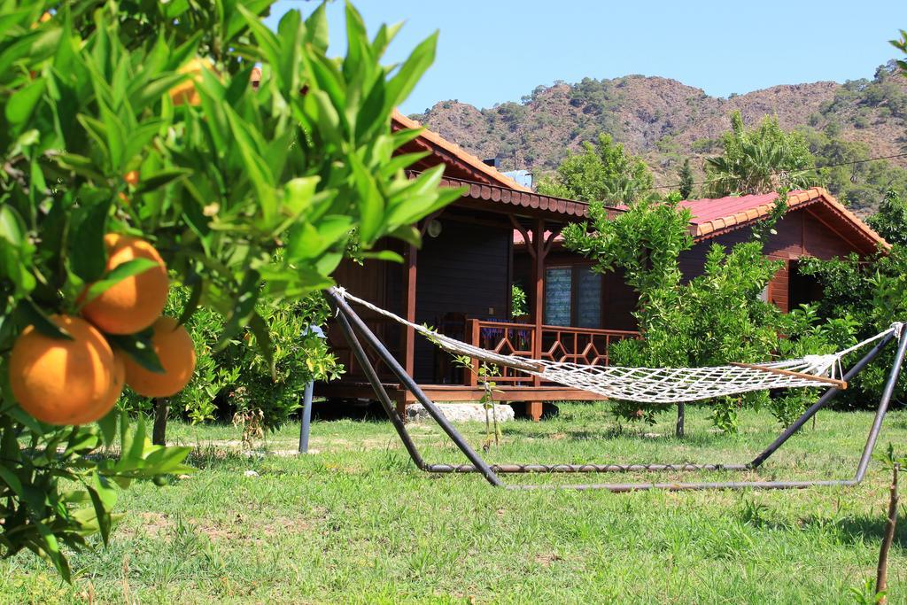 Ikiz Villas Çıralı Buitenkant foto