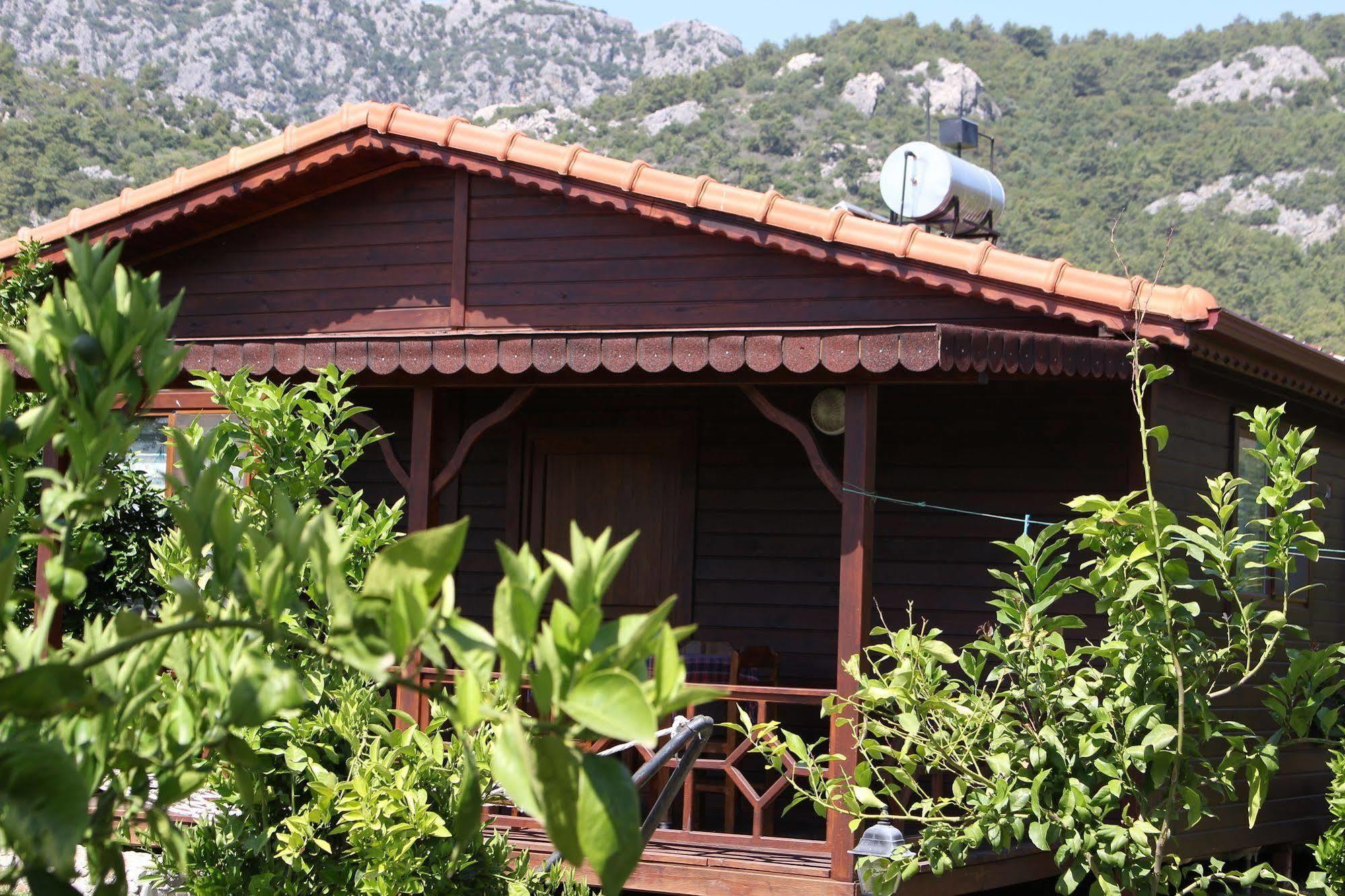 Ikiz Villas Çıralı Buitenkant foto