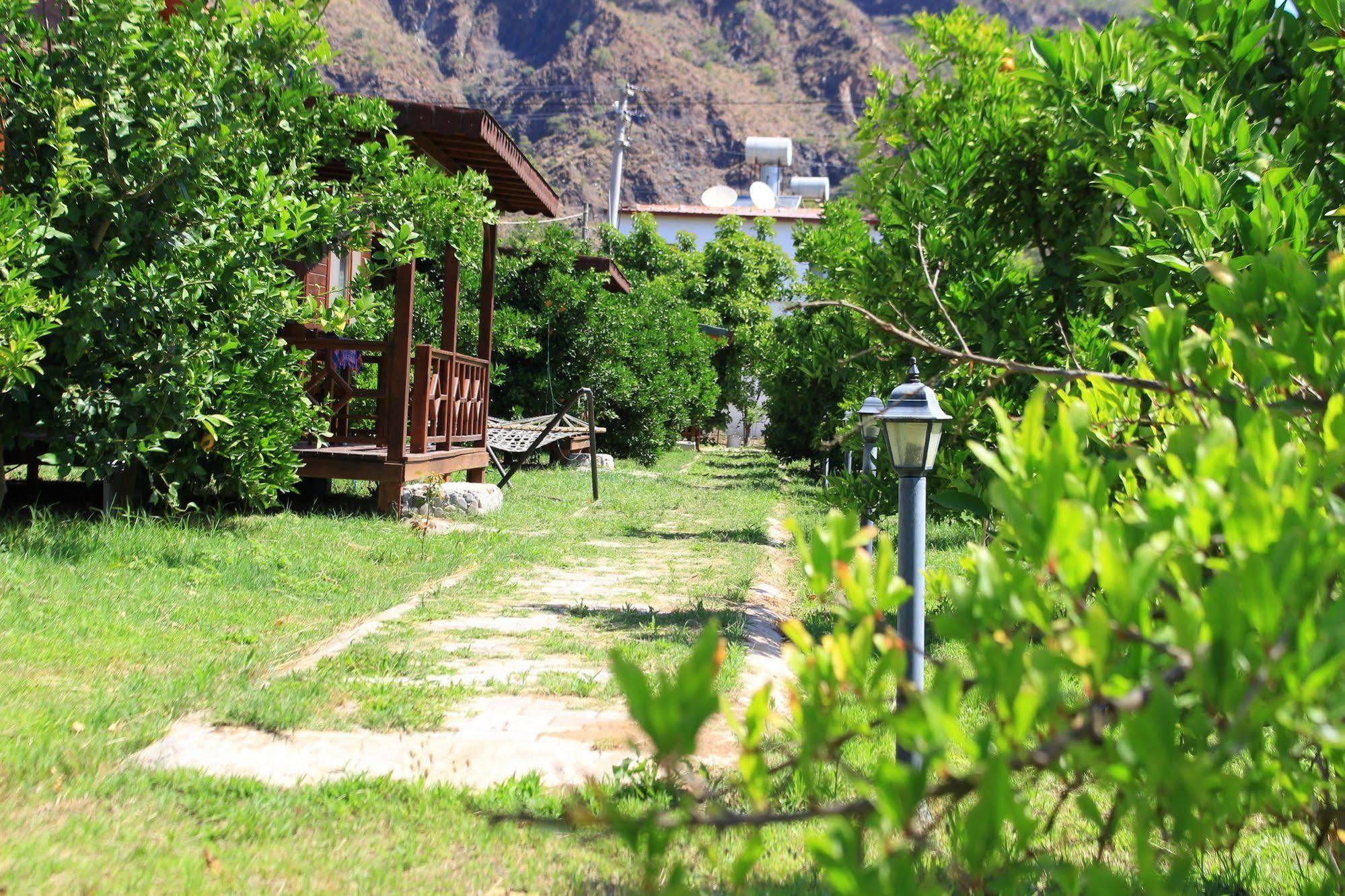 Ikiz Villas Çıralı Buitenkant foto